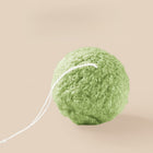 Green Tea Konjac Face Sponge