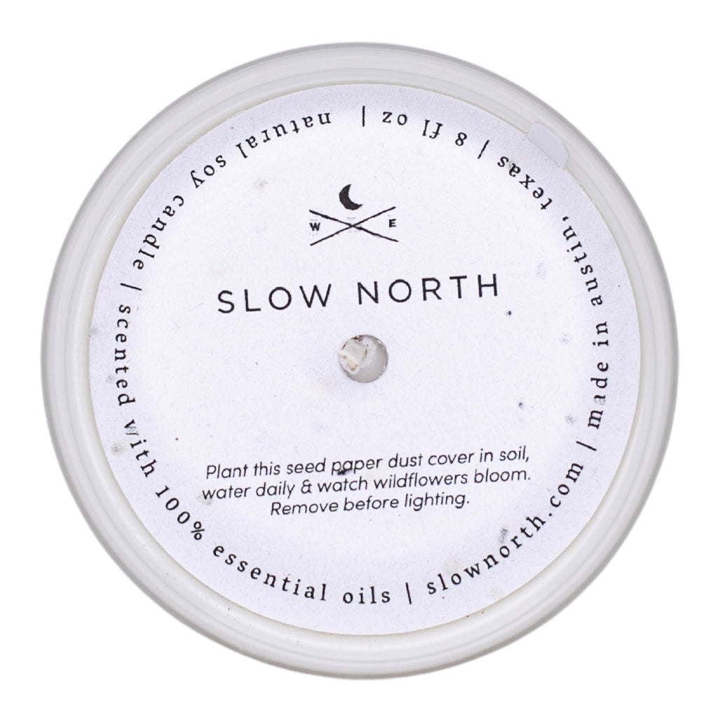 Lemongrass + Tangerine - Signature Candle
